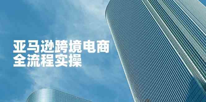 亚马逊跨境电商全流程实操,教你从零开始,掌握店铺运营与广告技巧-大可网创