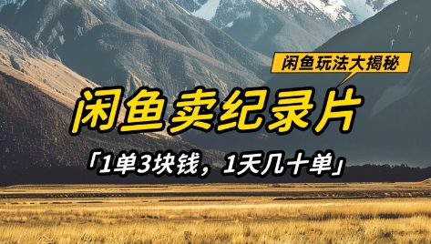 闲鱼卖纪录片1单3块钱,1天几十单,项目稳定有潜力-大可网创