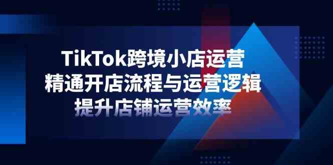 TikTok跨境小店运营,精通开店流程与运营逻辑,提升店铺运营效率-大可网创