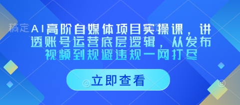 AI高阶自媒体项目实操课,讲透账号运营底层逻辑,从发布视频到规避违规一网打尽-大可网创