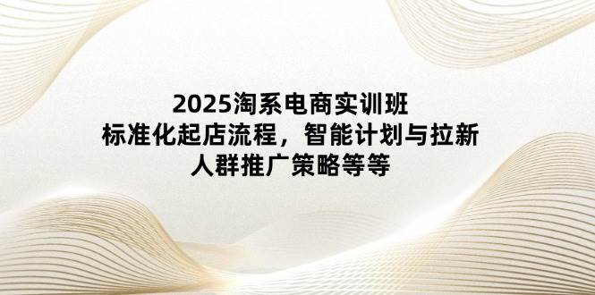 (14522期)2025淘系电商实训班:标准化起店流程,智能计划与拉新,人群推广策略等等-大可网创