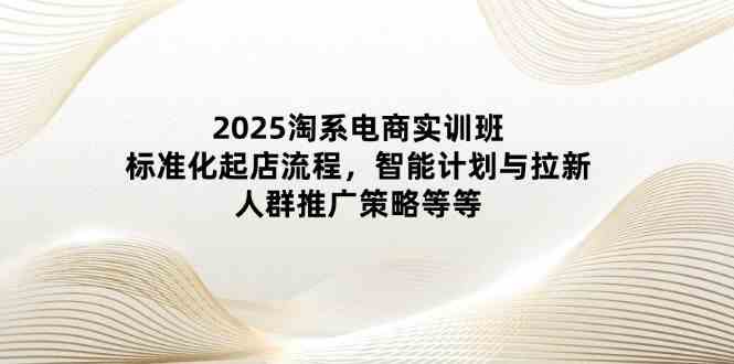 2025淘系电商实训班:标准化起店流程,智能计划与拉新,人群推广策略等等-大可网创