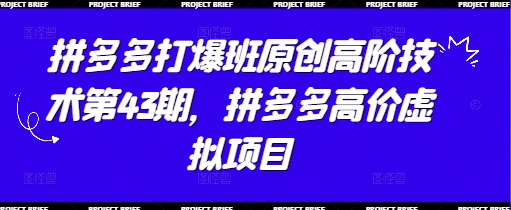 拼多多打爆班原创高阶技术第43期,拼多多高价虚拟项目-大可网创