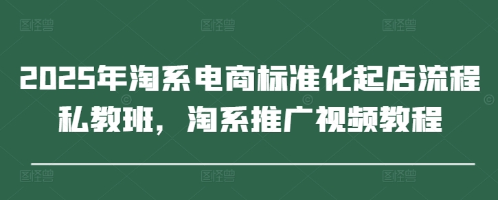 2025年淘系电商标准化起店流程私教班,淘系推广视频教程-大可网创