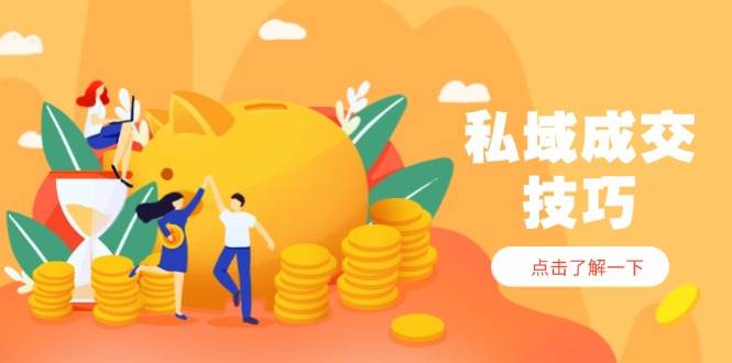 (14566期)私域成交技巧,帮你从入门到精通,破解四大痛点,快速变现,轻松收钱-大可网创