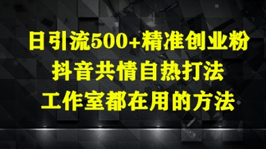 日引流500+精准创业粉,抖音共情自热打法,工作室都在用的方法-大可网创