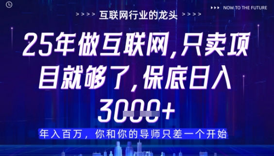 什么!25年你还在找项目做?风口早就变了,卖项目才是稳挣不赔【揭秘】-大可网创