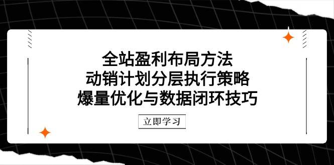 (14698期)全站盈利布局方法:动销计划分层执行策略,爆量优化与数据闭环技巧-大可网创