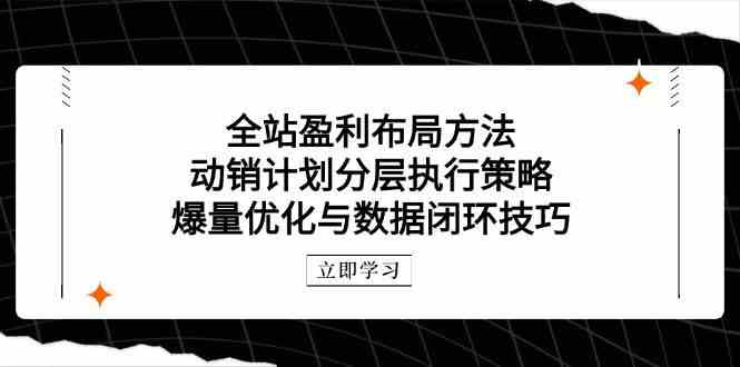 全站盈利布局方法:动销计划分层执行策略,爆量优化与数据闭环技巧-大可网创