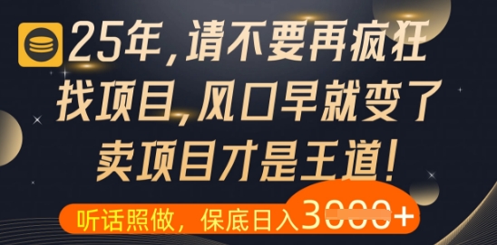 什么?25年你还在疯狂找项目做,醒醒吧,看完这些你全都懂了【揭秘】-大可网创