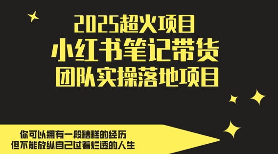2025超火项目,副业最佳选择,小红书笔记带货团队实操落地项目,,轻松日入5张-大可网创
