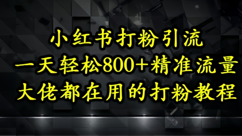 小红书打粉引流,一天轻松500+精准流量,大佬都在用的打粉教程-大可网创