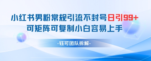 小红书男粉常规引流不封号日引99+变现简单 可矩阵可复制小白容易上手-大可网创