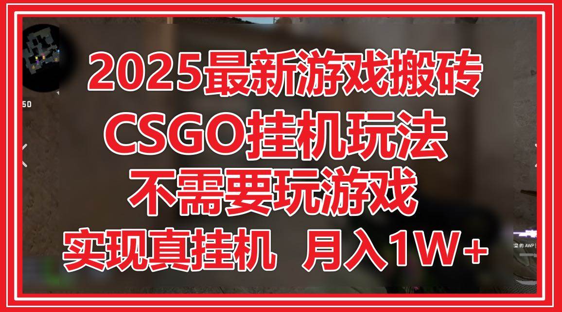 (14743期)2025最新游戏搬砖,CSGO挂机,不需要玩游戏,实现真挂机,月入1W+-大可网创