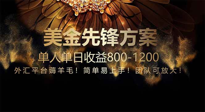 (14761期)免费技术!小众赛道!一年布局抵三年努力,每日800+-大可网创