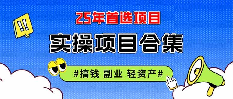 (14767期)2025实操项目合集 挂机类型 直播类型 轻资产创业类型 课程分享各项目介…-大可网创