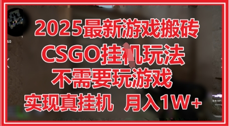 2025最新游戏搬砖,CSGO挂G,不需要玩游戏,实现真挂G,月入1W+【揭秘】-大可网创
