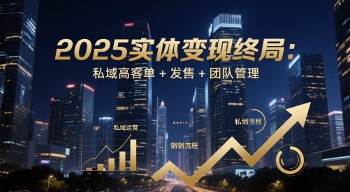 2025实体变现终局:私域高客单+发售+团队管理-大可网创