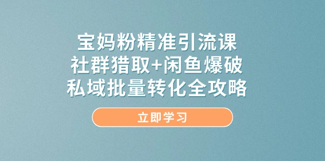 (14820期)宝妈粉精准引流课,社群猎取+闲鱼爆破,私域批量转化全攻略-大可网创