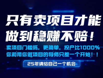 只有卖项目才能做到稳挣不赔,门槛低,更简单,你也可以年入百个W【揭秘】-大可网创