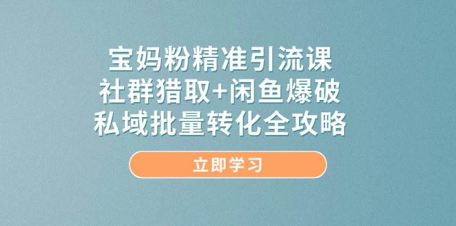 宝妈粉精准引流课,社群猎取+闲鱼爆破,私域批量转化全攻略-大可网创