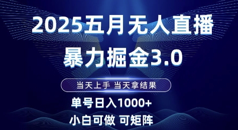 2025五月无人直播暴力掘金3.0,当天上手,当天拿结果,单号日入1k+小白可做可矩阵【揭秘】-大可网创