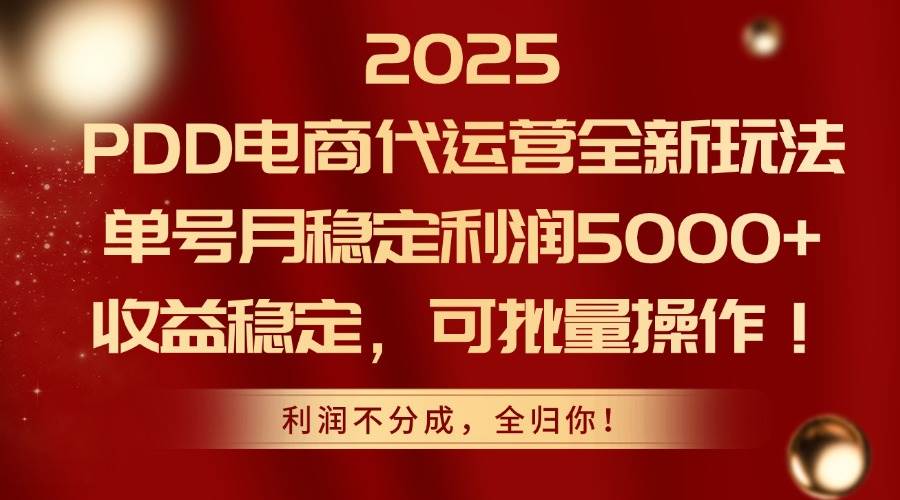 (14839期)2025PDD电商代运营全新玩法,单号月稳定利润5000+,收益稳定,可批量操作-大可网创