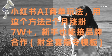 小红书AI商单玩法,用这个方法2个月涨粉7W+,新手也能接品牌合作(附全套指令模板)-大可网创