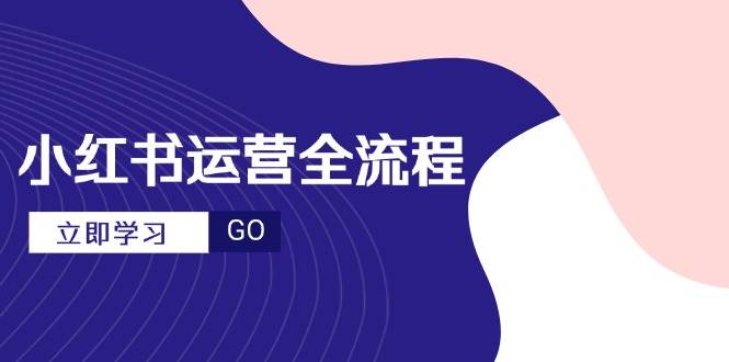 (14861期)小红书运营全流程,爆款选题文案,视频制作技巧,进阶达人宝典-大可网创