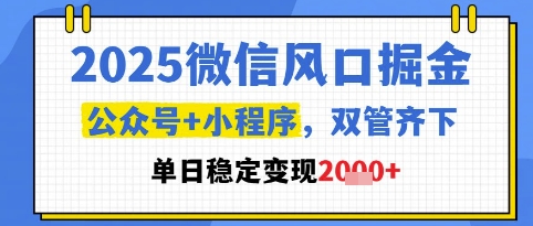 2025微信风口掘金,公众号+小程序双管齐下,单日稳定变现1k+【揭秘】-大可网创