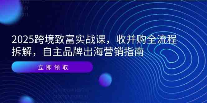 2025跨境致富实战课,收并购全流程拆解,自主品牌出海营销指南-大可网创