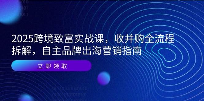 (14975期)2025跨境致富实战课,收并购全流程拆解,自主品牌出海营销指南-大可网创