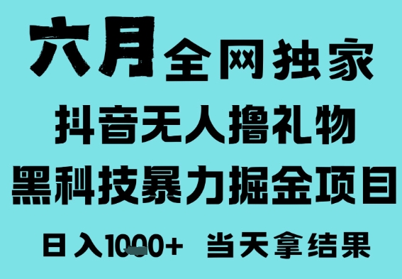 25年6月高爆抖音无人直播最新撸音浪掘金项目,门槛低小白可做,无脑日入1k,可矩阵放大【揭秘】-大可网创
