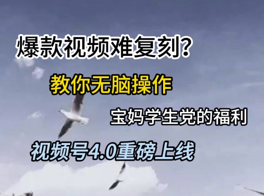 视频号4.0重磅上线,爆款视频难复刻?教你无脑操作宝妈学生党的福利【揭秘】-大可网创