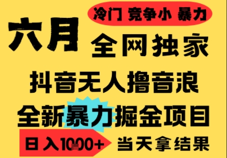 25年6月高爆抖音无人直播最新撸音浪掘金项目,小白可做,无脑日入1k+,门槛低可批量矩阵【揭秘】-大可网创