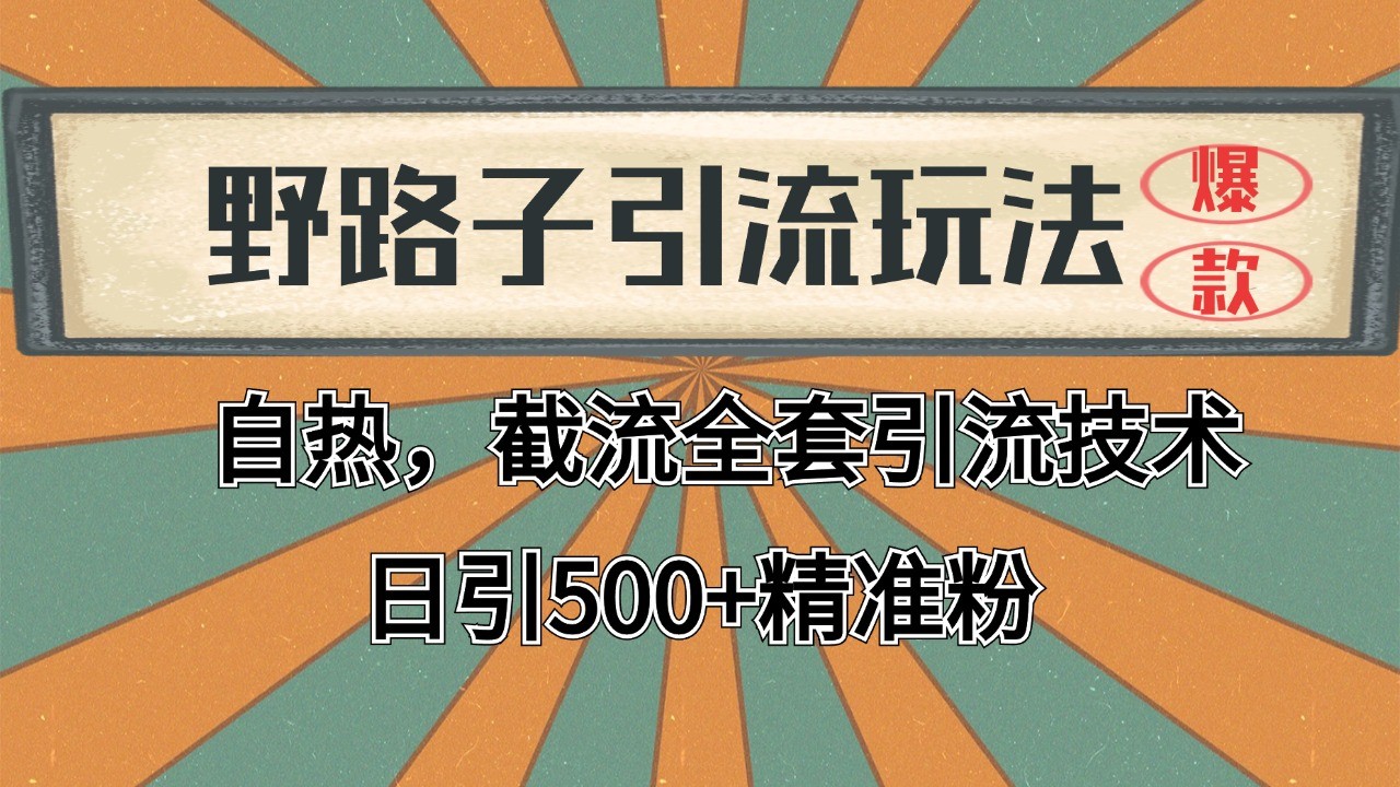 2024首发野路子引流玩法截流自热全平台打法,全自动引流【日引2000+精准客户】-大可网创