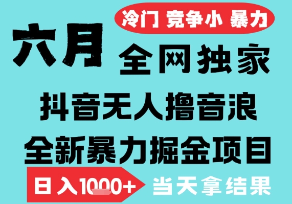 2025年6月高爆抖音无人直播最新撸音浪掘金项目,无脑日入1k+,低门槛小白可做,可矩阵放大【揭秘】-大可网创