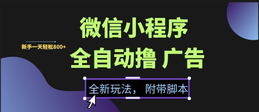 微信小程序全自动撸广告项目,彻底解决没流量的问题,新手一天8张+【揭秘】-大可网创