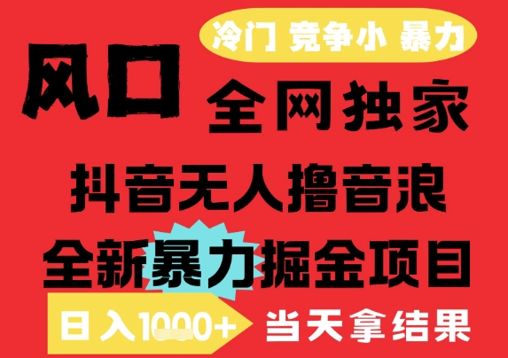 25年6月高爆抖音无人直播最新撸音浪掘金项目,解放双手小白可做,无脑日入1k+,门槛低【揭秘】-大可网创