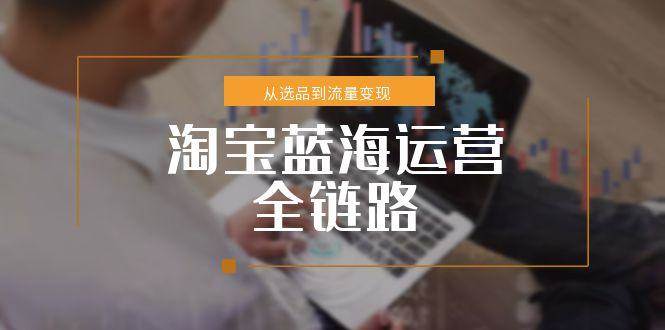 (15160期)淘宝蓝海运营全链路,从选品到流量变现,小类目突围完整方案-大可网创