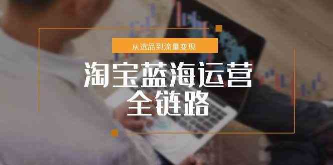淘宝蓝海运营全链路,从选品到流量变现,小类目突围完整方案-大可网创