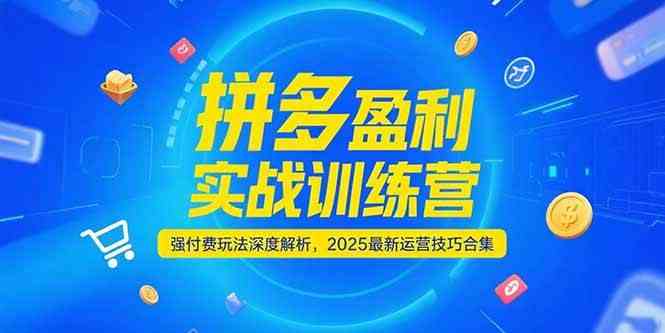 拼多多盈利实战训练营,强付费玩法深度解析,2025最新运营技巧合集-大可网创