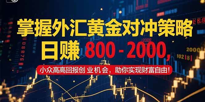 (15198期)掌握外汇黄金对冲策略,日赚 800 – 2000,小众高回报创业机会,助你实…-大可网创