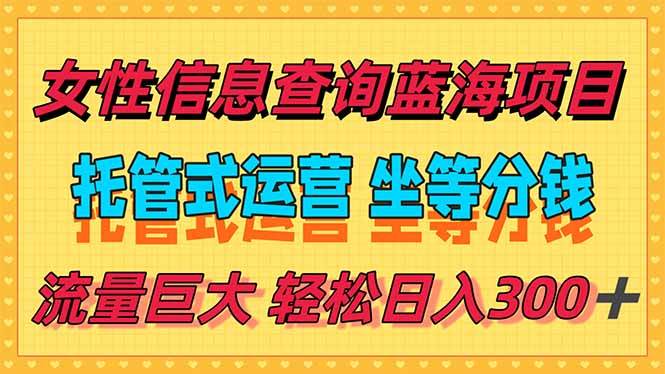 (15216期)稳定日入300+,小众信息查询蓝海项目,全程懒人式托管,解放你的时间-大可网创