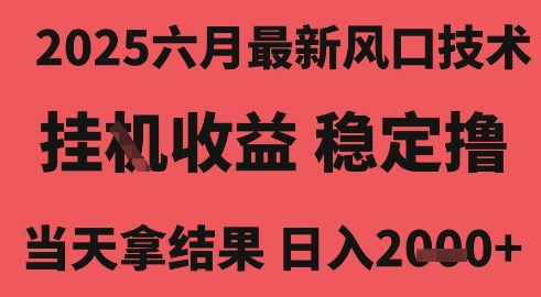 2025六月最新风口技术,无人挂G撸礼物,长期稳定 一个小时收益2k+,小白当天拿结果【揭秘】-大可网创