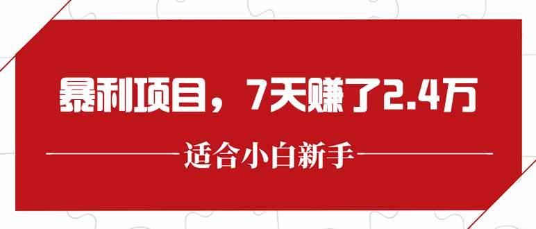 (15228期)最新暴利项目,每单收益轻松在300以上,7天赚了2.4万-大可网创