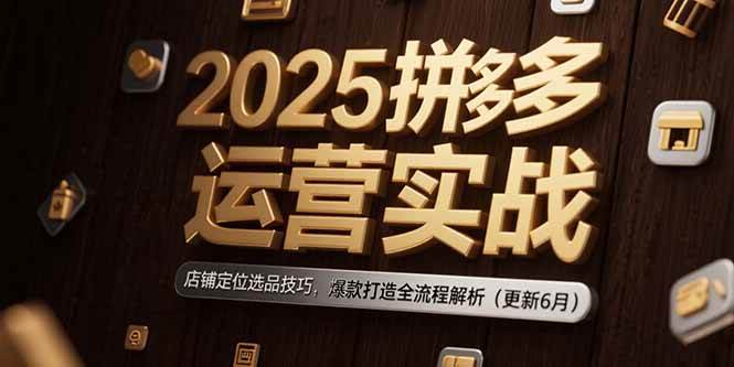 (15235期)2025拼多多运营实战:店铺定位选品技巧,爆款打造全流程解析(更新6月)-大可网创