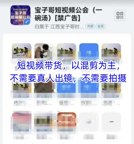 宝子哥头部团队短视频带货,以混剪为主,不需要真人出镜,不需要拍摄【更新6月】-大可网创