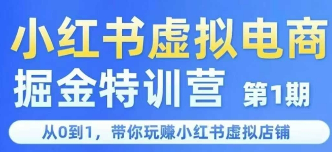 小红书虚拟电商掘金特训营第1期,从0到1,带你玩转小红书虚拟店铺-大可网创