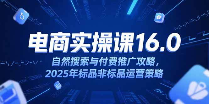 (15262期)淘宝电商运营课16.0,自然搜索与付费推广攻略,2025年标品非标品运营策略-大可网创